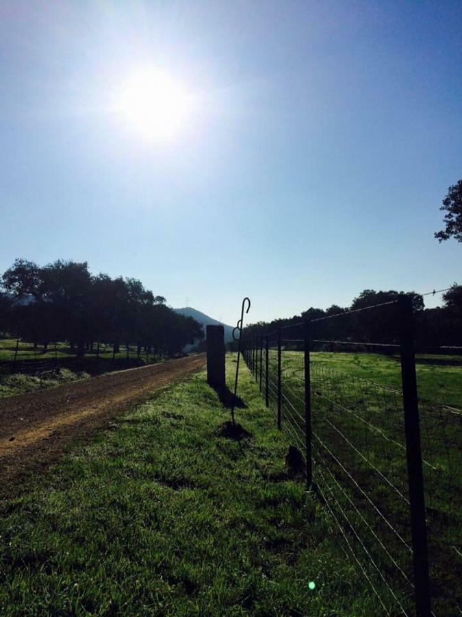 Vivienda Rural El Ejido Βίλα El Real de la Jara Εξωτερικό φωτογραφία